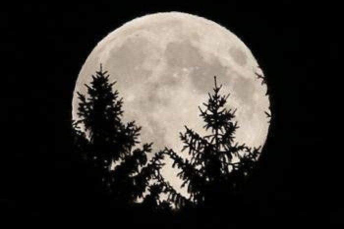 Ilustračný obrázok k článku Tomuto sa povie jedinečný zážitok: Koncert Otokara Kleina dotváral mesiac v supersplne