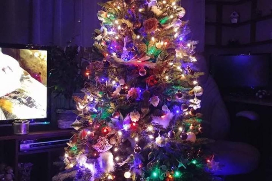 V OBRAZOCH: Revúčania sa pochválili krásnymi vianočnými stromčekmi